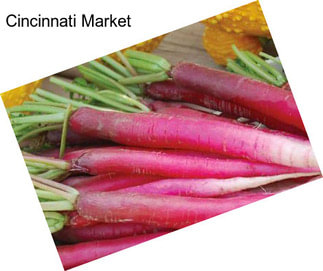 Cincinnati Market