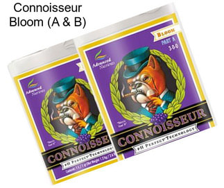 Connoisseur Bloom (A & B)