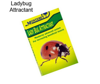 Ladybug Attractant