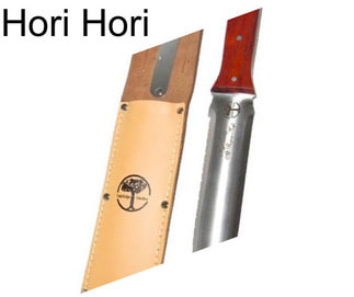 Hori Hori