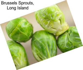 Brussels Sprouts, Long Island