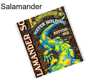 Salamander