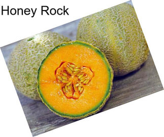 Honey Rock