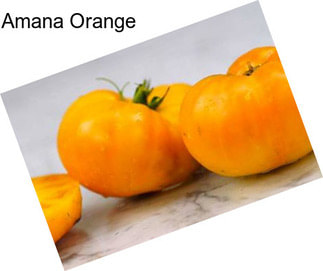 Amana Orange