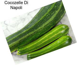 Cocozelle Di Napoli