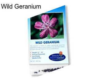 Wild Geranium