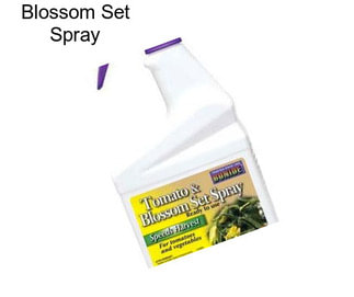 Blossom Set Spray