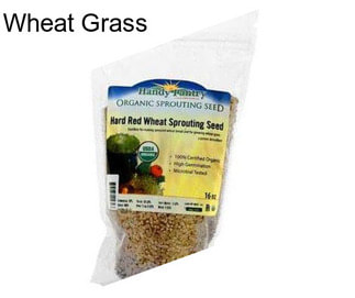 Wheat Grass