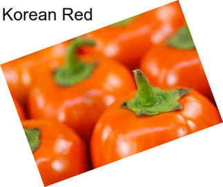 Korean Red
