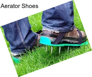 Aerator Shoes