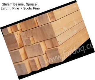 Glulam Beams, Spruce , Larch , Pine  - Scots Pine