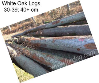 White Oak Logs 30-39; 40+ cm