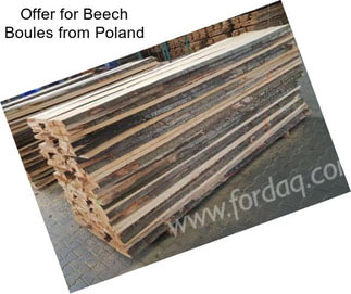 Offer for Beech Boules from Poland