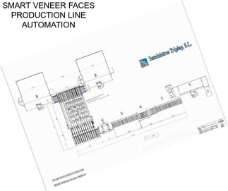 SMART VENEER FACES PRODUCTION LINE AUTOMATION