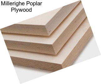 Millerighe Poplar Plywood