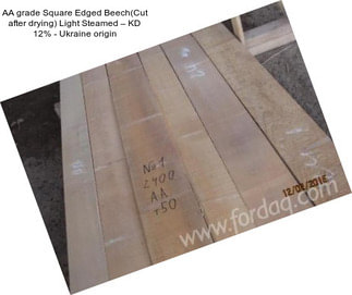 AA grade Square Edged Beech(Cut after drying) Light Steamed – KD 12% - Ukraine origin