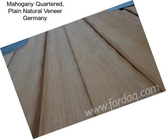 Mahogany Quartered, Plain Natural Veneer Germany