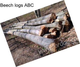 Beech logs ABC