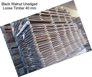 Black Walnut Unedged Loose Timber 40 mm