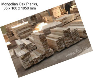 Mongolian Oak Planks, 35 x 180 x 1950 mm