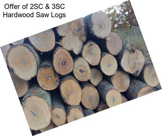 Offer of 2SC & 3SC Hardwood Saw Logs