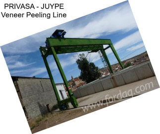 PRIVASA - JUYPE Veneer Peeling Line