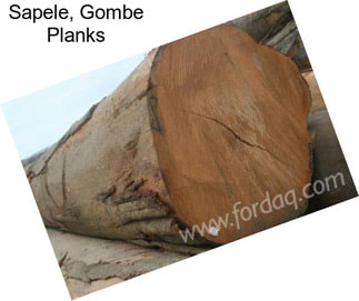 Sapele, Gombe Planks