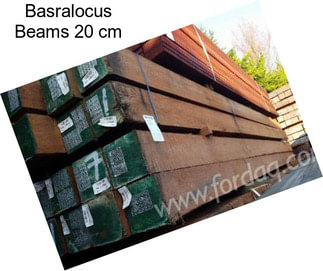 Basralocus Beams 20 cm