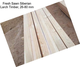 Fresh Sawn Siberian Larch Timber, 26-80 mm