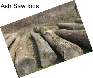 Ash Saw logs