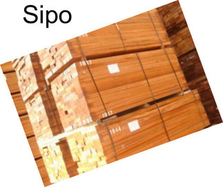 Sipo