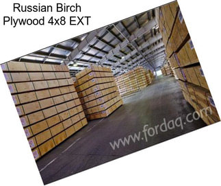 Russian Birch Plywood 4x8 EXT