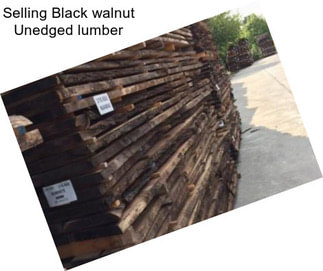 Selling Black walnut Unedged lumber