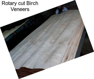 Rotary cut Birch Veneers