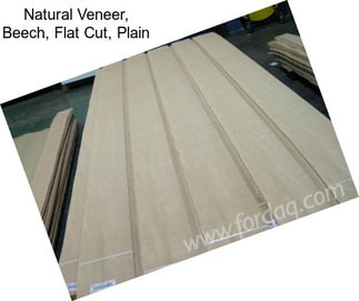 Natural Veneer, Beech, Flat Cut, Plain