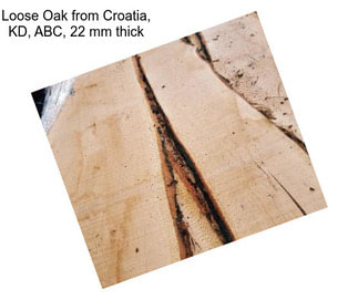 Loose Oak from Croatia, KD, ABC, 22 mm thick