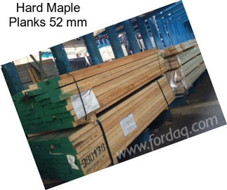 Hard Maple Planks 52 mm