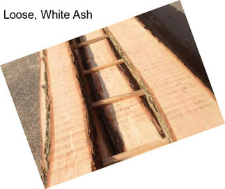 Loose, White Ash