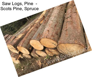 Saw Logs, Pine  - Scots Pine, Spruce