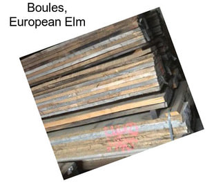 Boules, European Elm