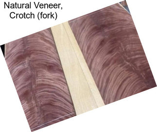 Natural Veneer, Crotch (fork)