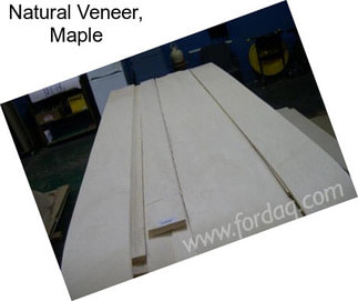 Natural Veneer, Maple