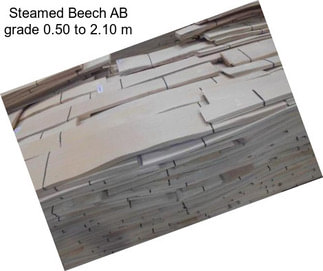 Steamed Beech AB grade 0.50 to 2.10 m