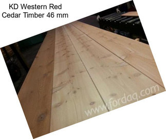 KD Western Red Cedar Timber 46 mm