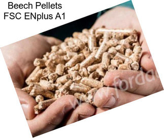 Beech Pellets FSC ENplus A1