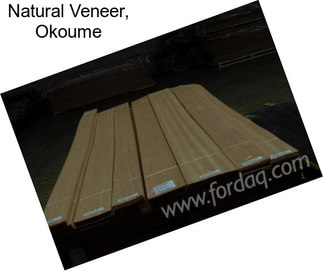 Natural Veneer, Okoume