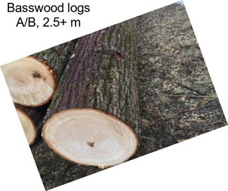 Basswood logs A/B, 2.5+ m