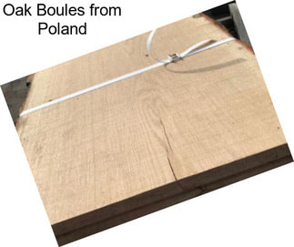 Oak Boules from Poland