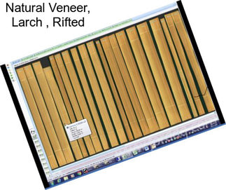 Natural Veneer, Larch , Rifted