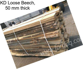 KD Loose Beech, 50 mm thick